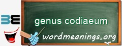 WordMeaning blackboard for genus codiaeum